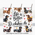Dachshund  20oz stainless steel insulated tumbler